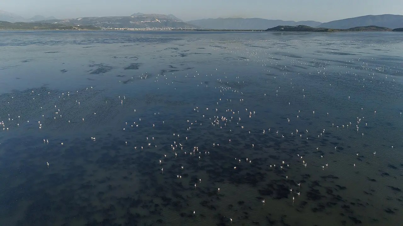 Image accompanying “Albania: Why Build Resorts on Protected Land? And Who Decides What Happens to Albania’s Coast: Residents or Investors?”